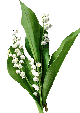 muguet5